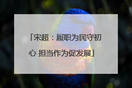 宋超：履职为民守初心 担当作为促发展